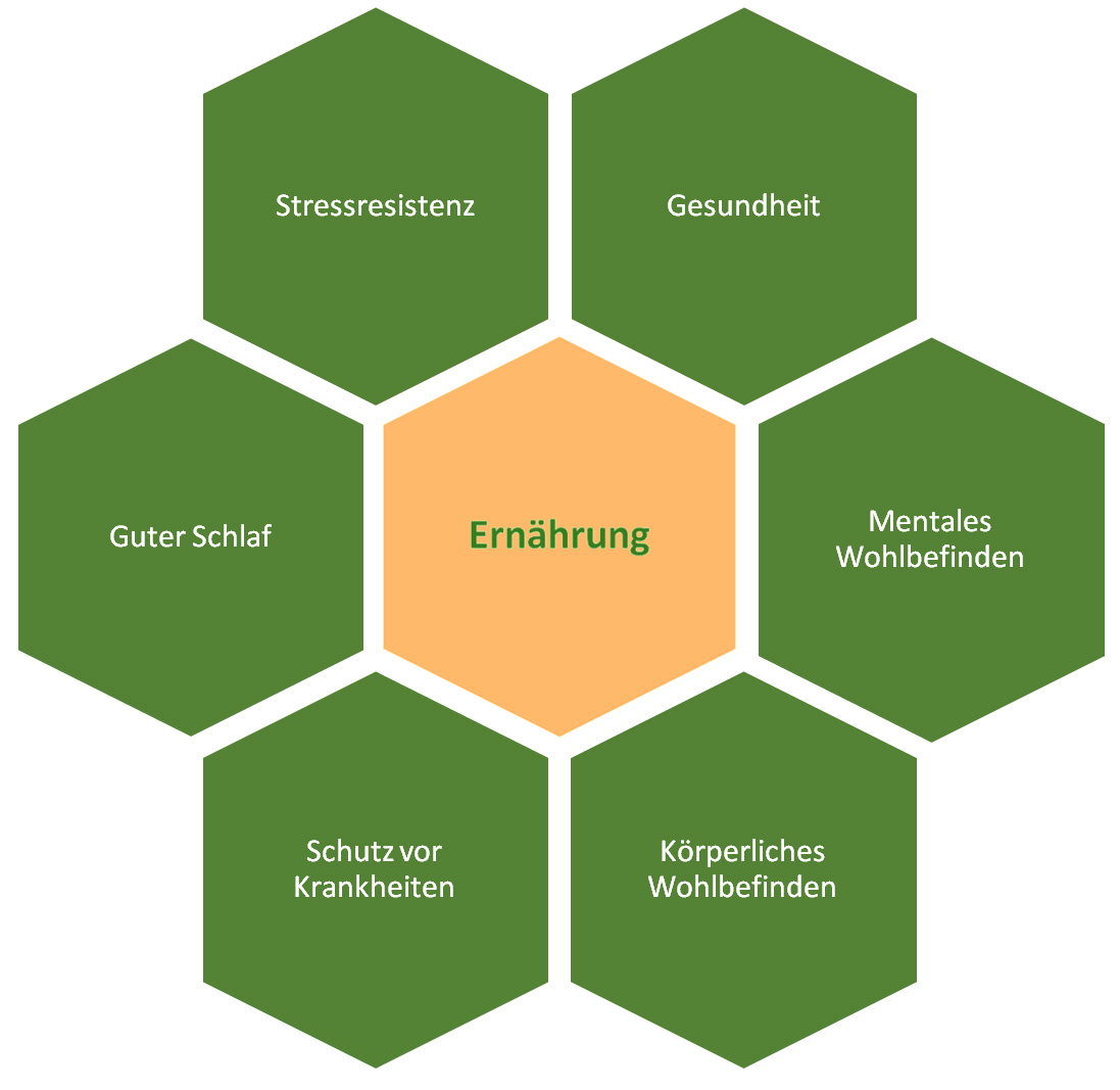 Ernährung